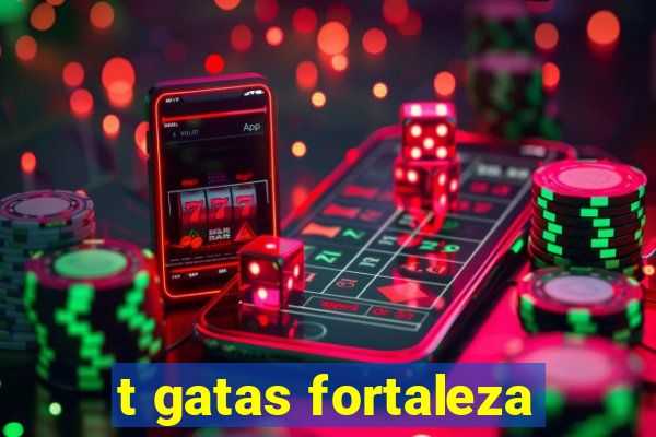 t gatas fortaleza